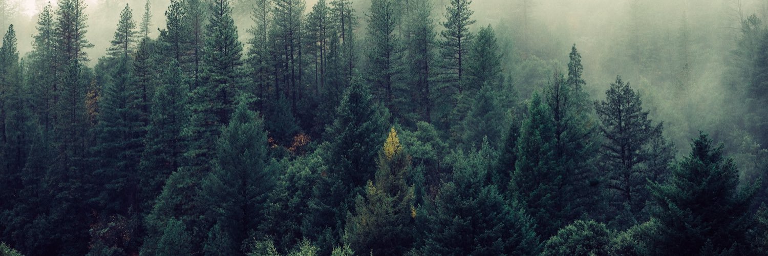 Dylan Sprayberry banner