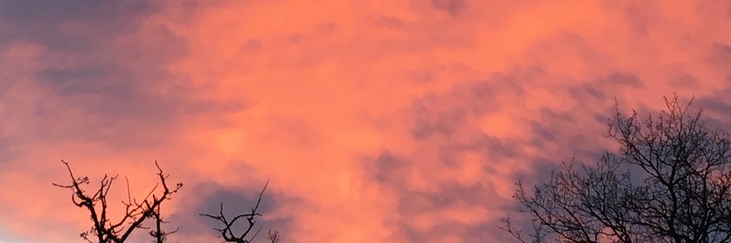 tuemay's profile banner image