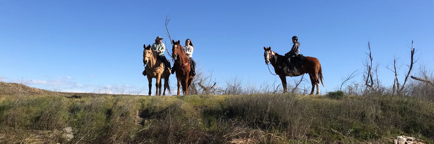 cpaulromo's profile banner image