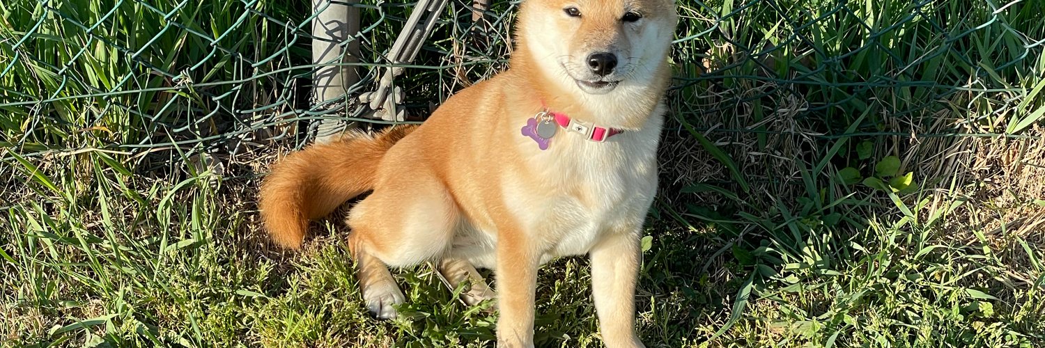 Matteo🇮🇹 banner