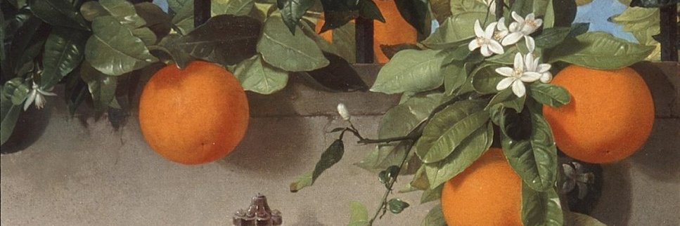Flordevino's profile banner image