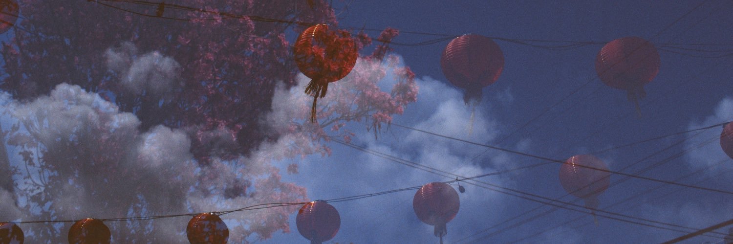 blevinspeck's profile banner image
