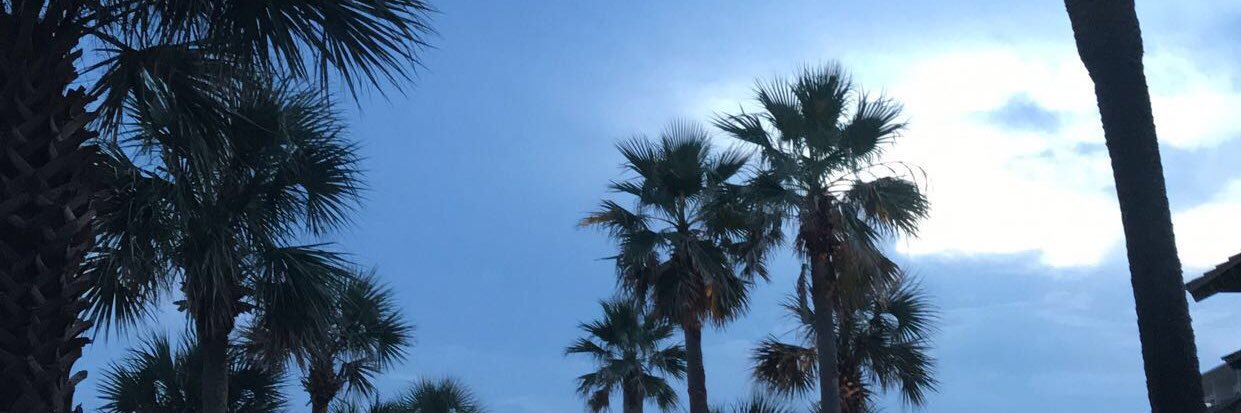 CorganMarie's profile banner image