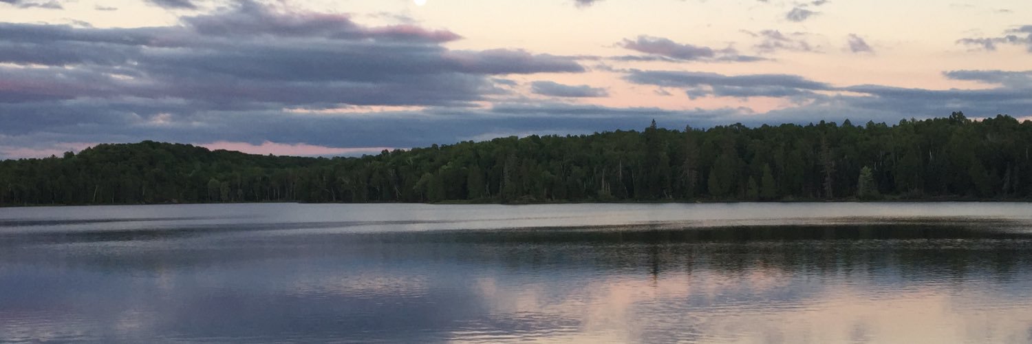 Lori McCabe banner