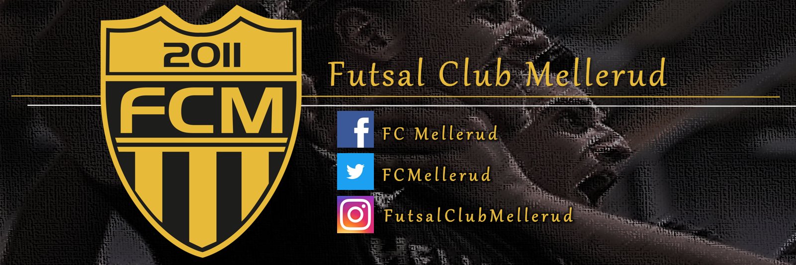 FCMellerud's profile banner image
