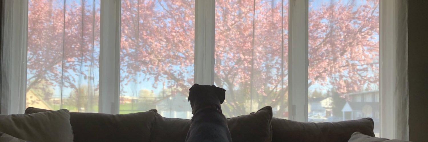 Heather Deitz banner