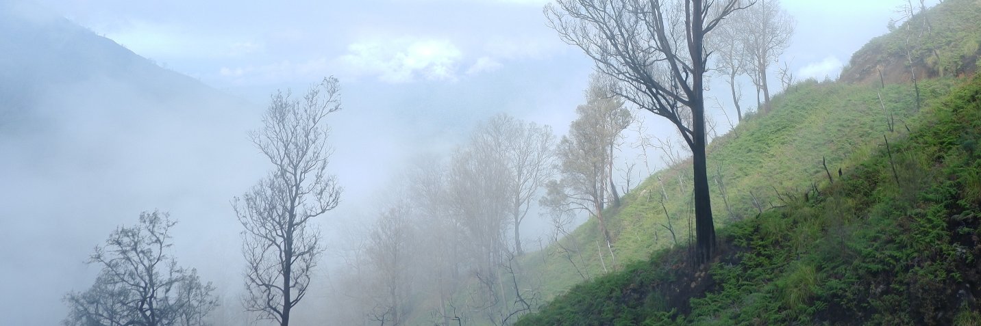 risyaagus's profile banner image