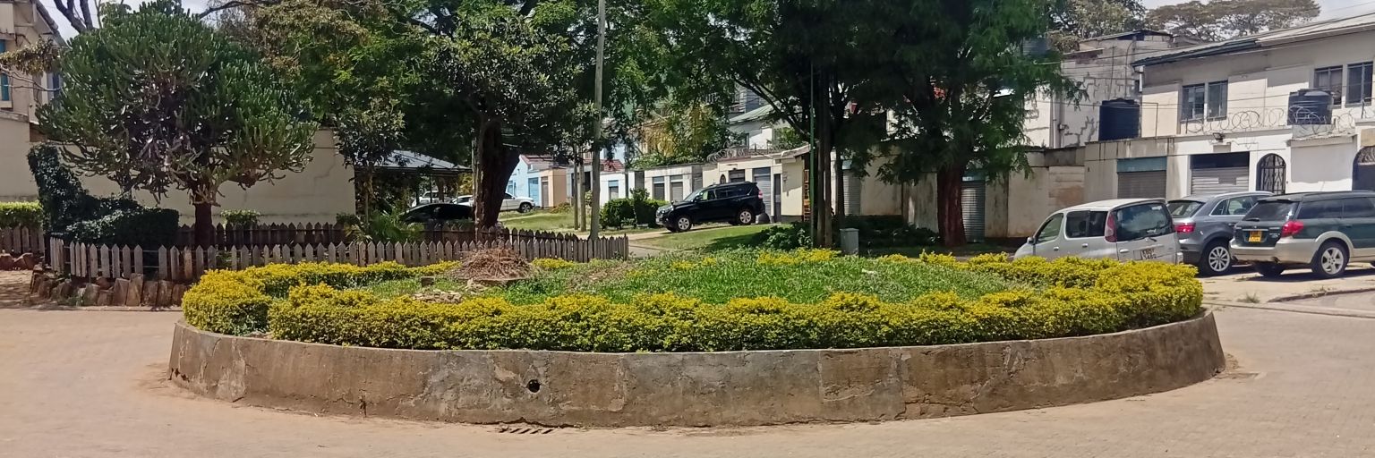 Martin Kariuki banner