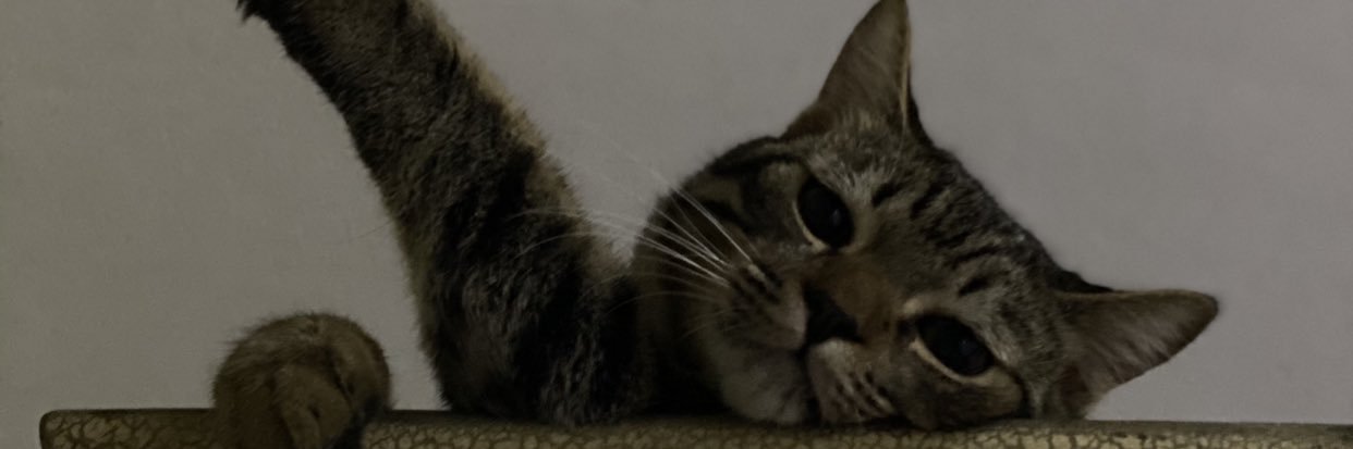 mahasaadd_'s profile banner image