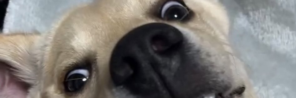 not_money's profile banner image
