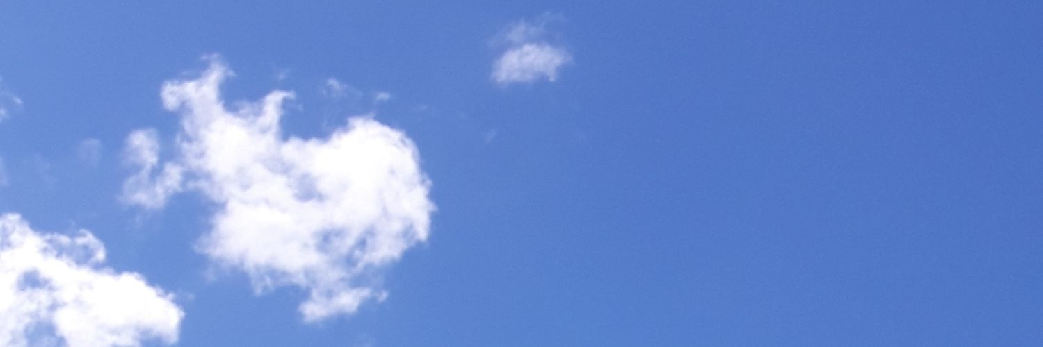 T4miresPorto's profile banner image