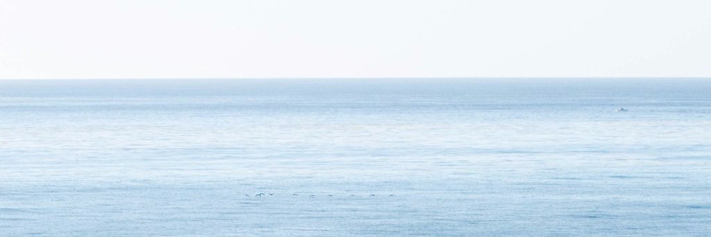 Giom's banner