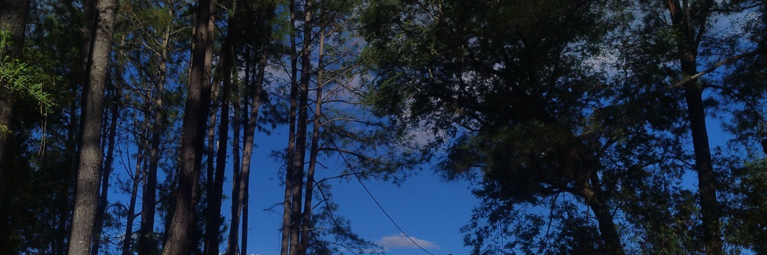 Bibiblauth21's profile banner image