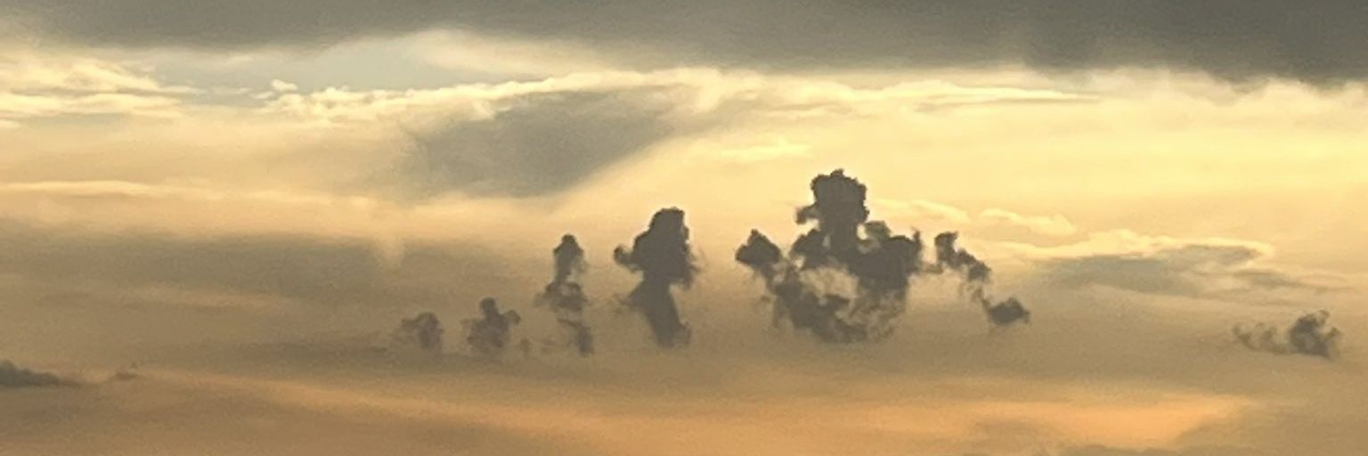 llostwhispers's profile banner image