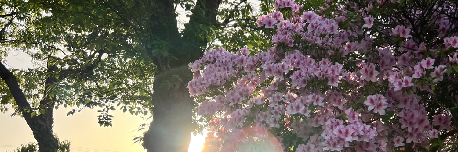 cico_1192's profile banner image