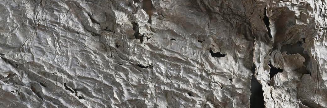 Athena LaTocha banner