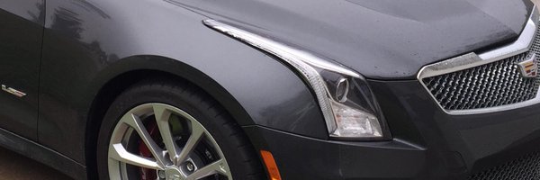 Caddyinfo Profile Banner