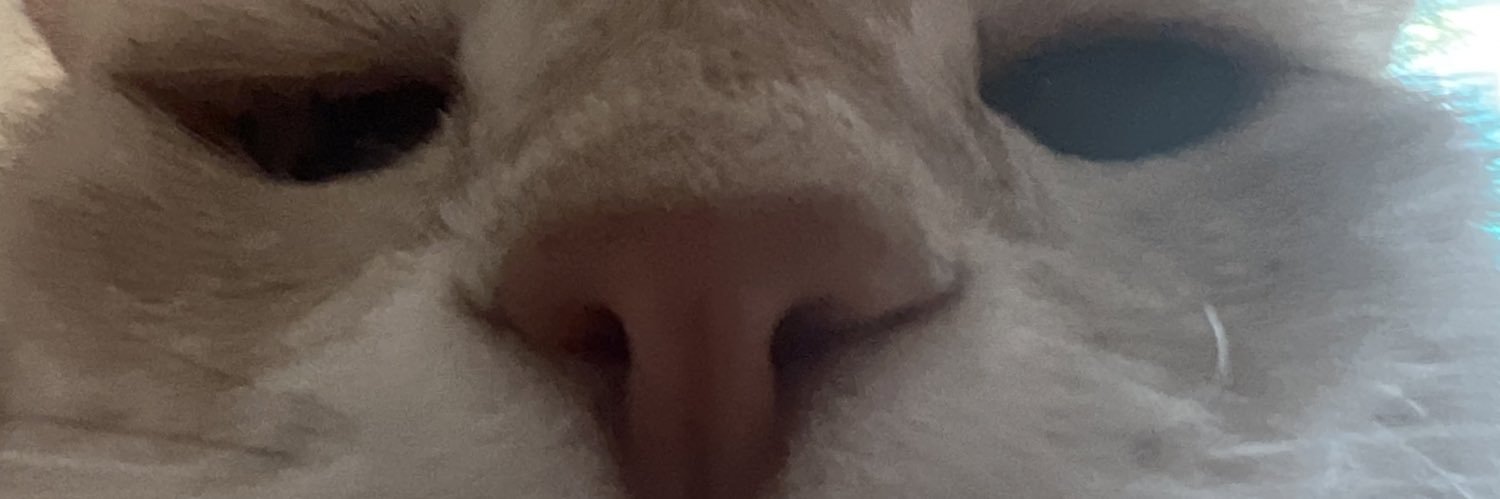 soulssplay's profile banner image