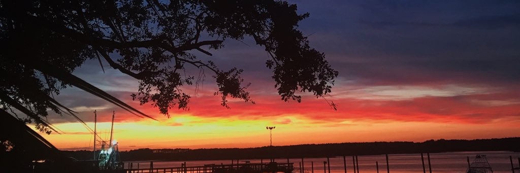 rosexhal4's profile banner image