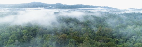 rhitasim Profile Banner