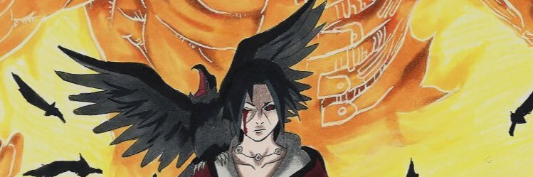 m__lavareda's profile banner image