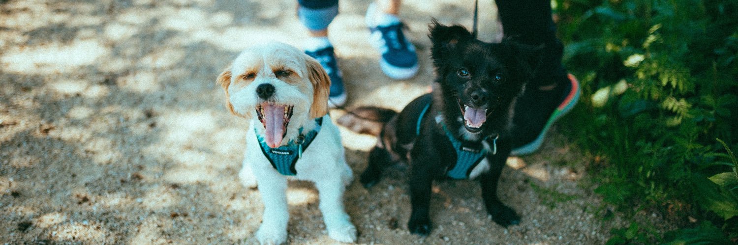 Jamie Kienitz banner