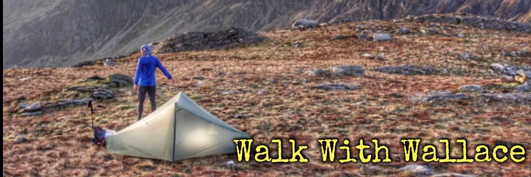 ℝ𝕠𝕓𝕚𝕟 𝕎𝕒𝕝𝕝𝕒𝕔𝕖 👣 banner