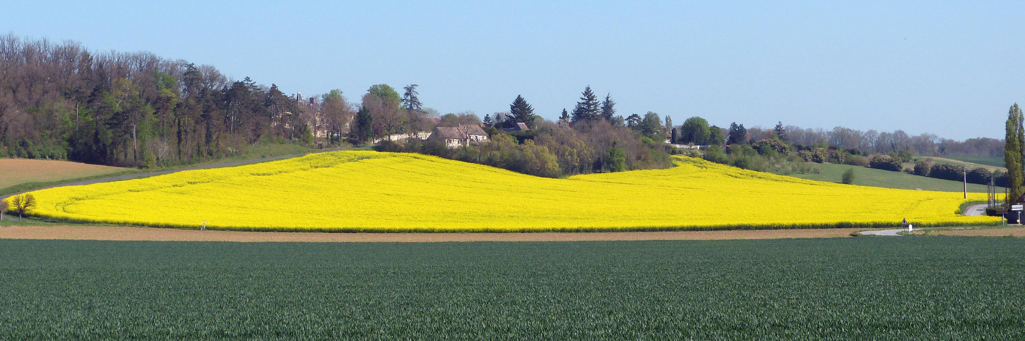 STOPeolien's profile banner image