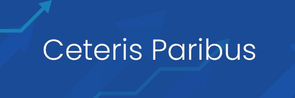 CeterisTrader's profile banner image