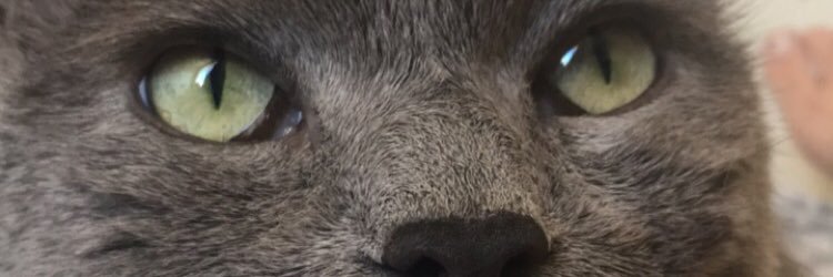 _justmarcella's profile banner image