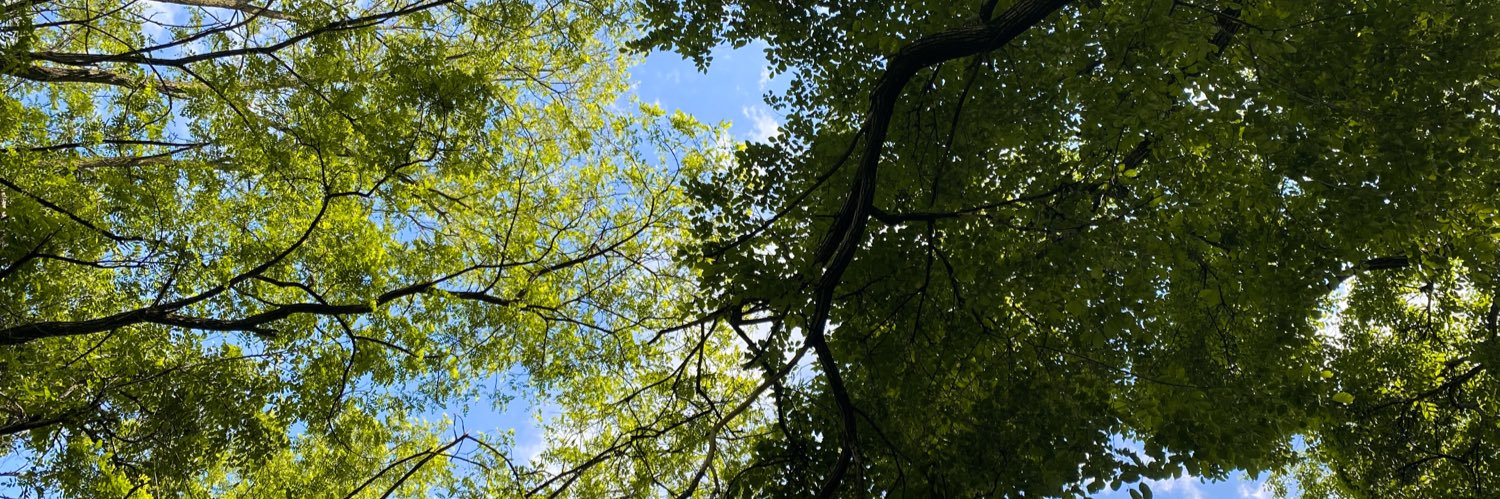 Dani Fitzgerald Brown banner