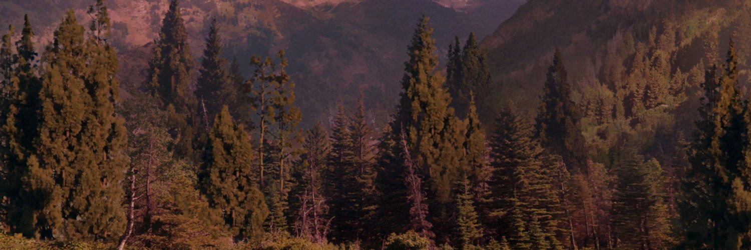 BenjaMv10's profile banner image