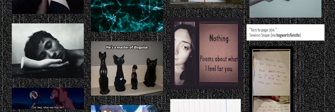 elisimera's profile banner image