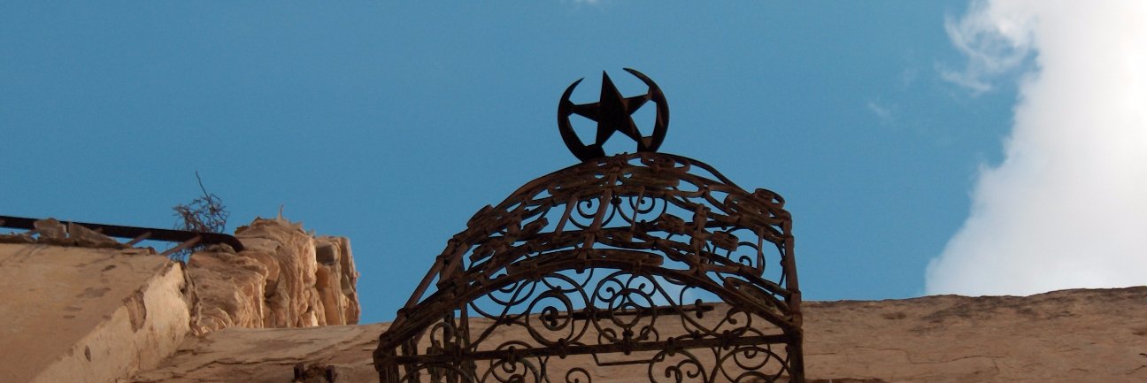 Delphine Cavallo 🐘 banner