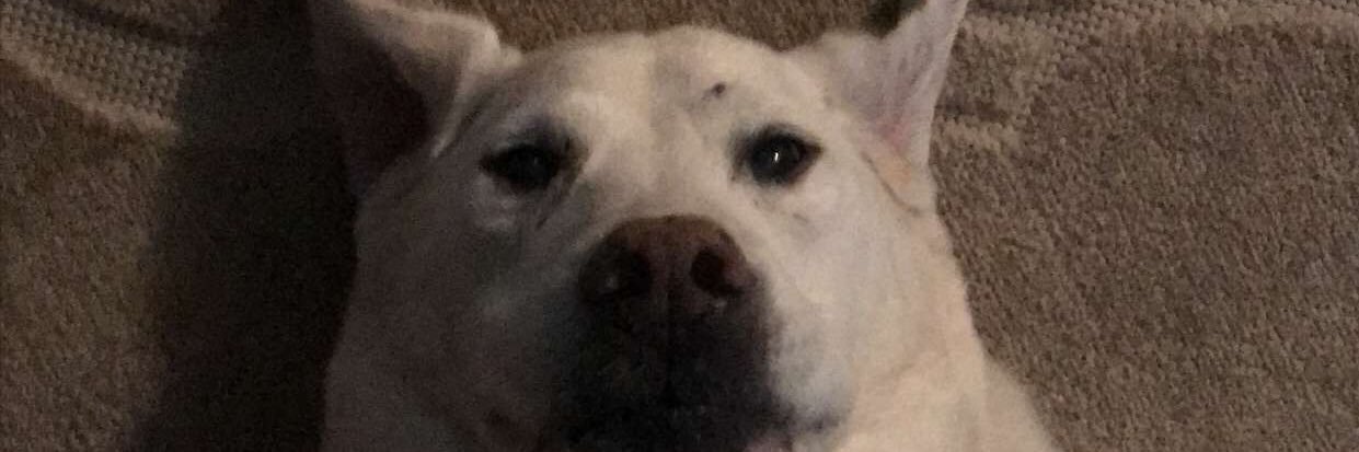 CourtneyGunter2's profile banner image
