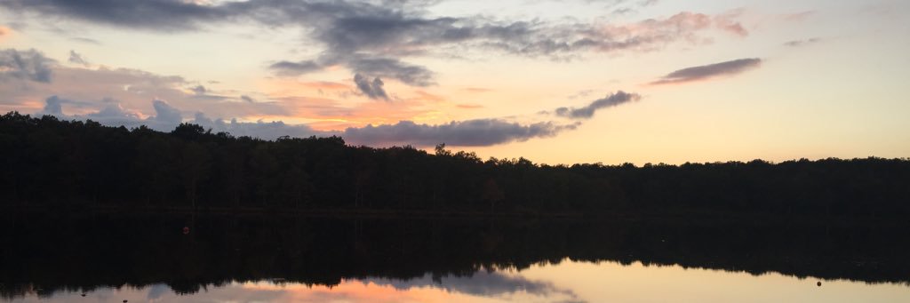 L_Perkss's profile banner image