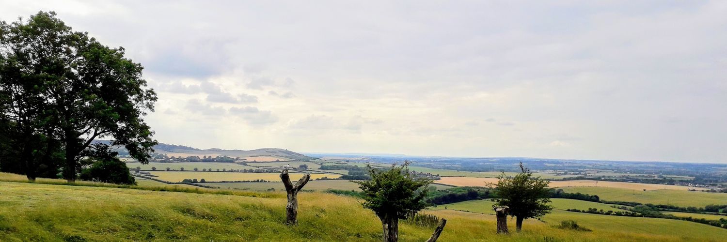 MaxineBaker's profile banner image