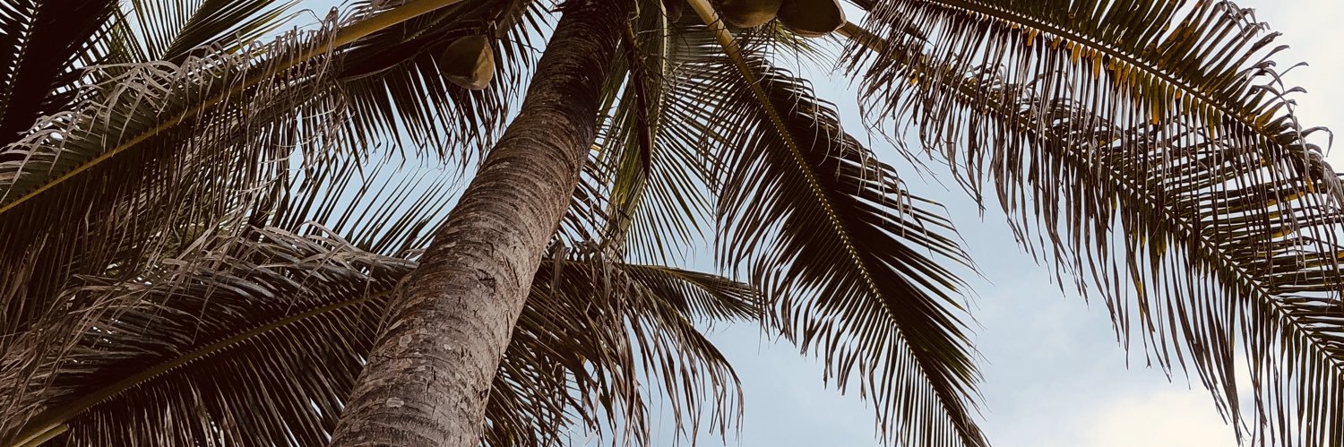 karinarod26's profile banner image