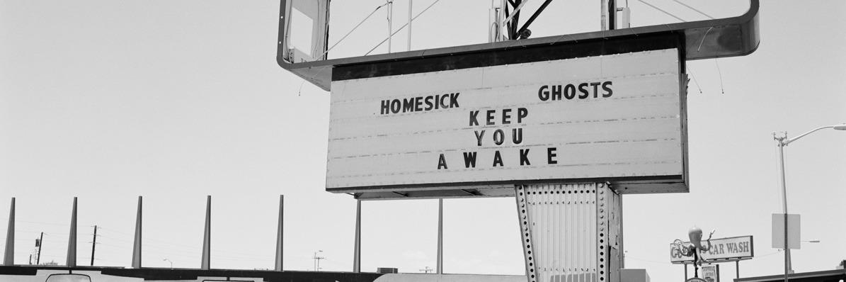 cranky sunflower banner