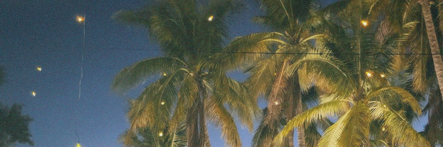 nidiaorrantia's profile banner image