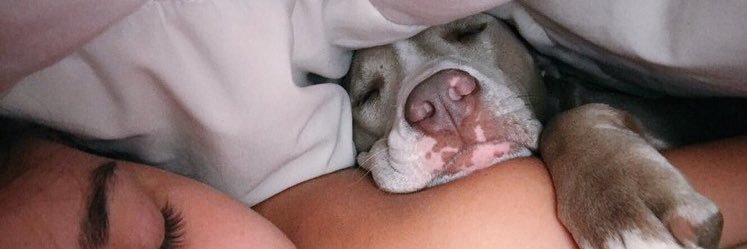 _BBRITT_'s profile banner image