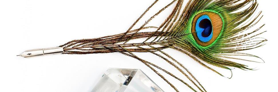 Daralyse Lyons (she/her/hers) banner