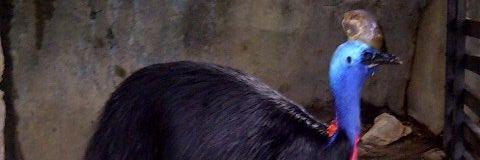 fishfoot's profile banner image
