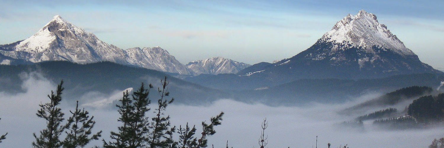elapas's profile banner image