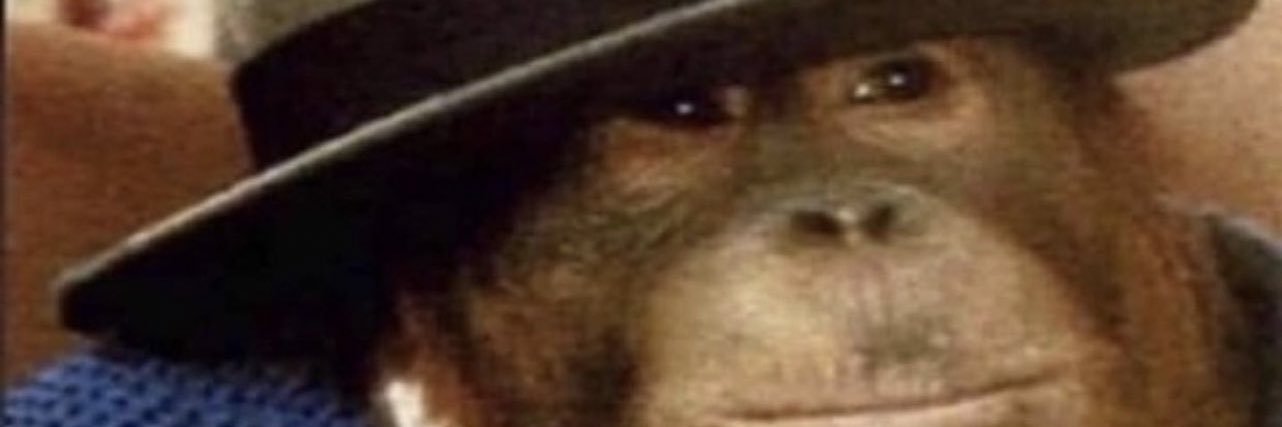 BlueCreamCheese's profile banner image