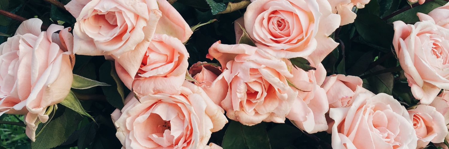 aikaasantiago's profile banner image