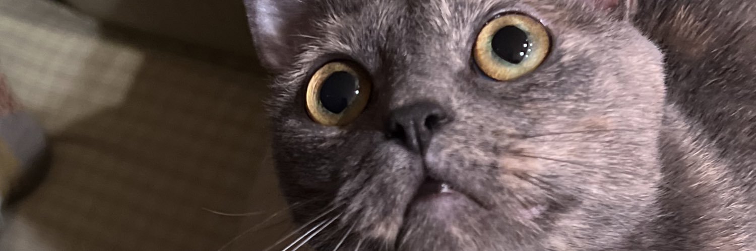 karinnateee's profile banner image