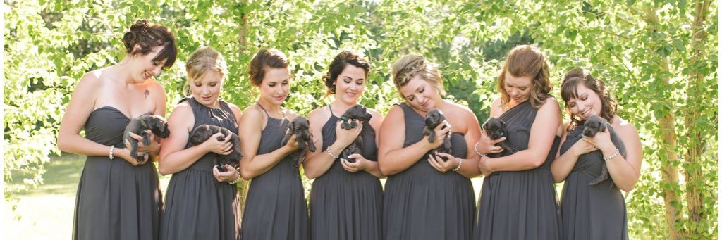 Maddy_BJ's profile banner image