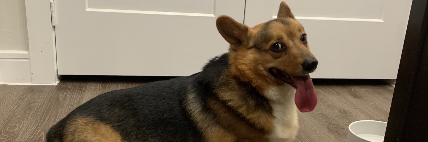 MorganWhiteside's profile banner image
