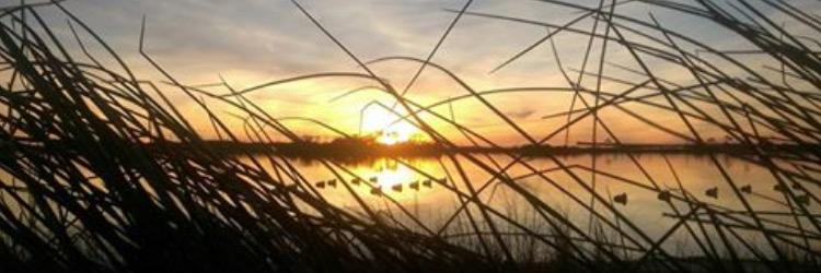 nolan_davis's profile banner image